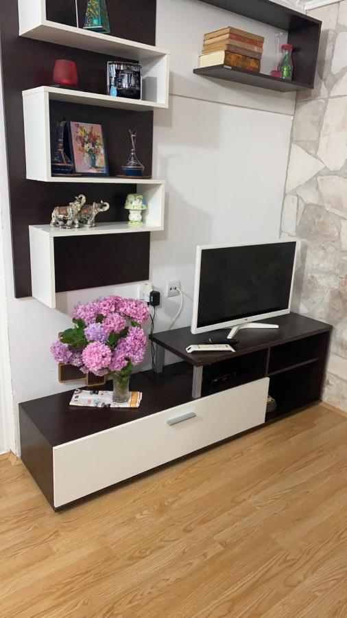 Alisa Sea View Apartment Prcanj Kotor Luaran gambar